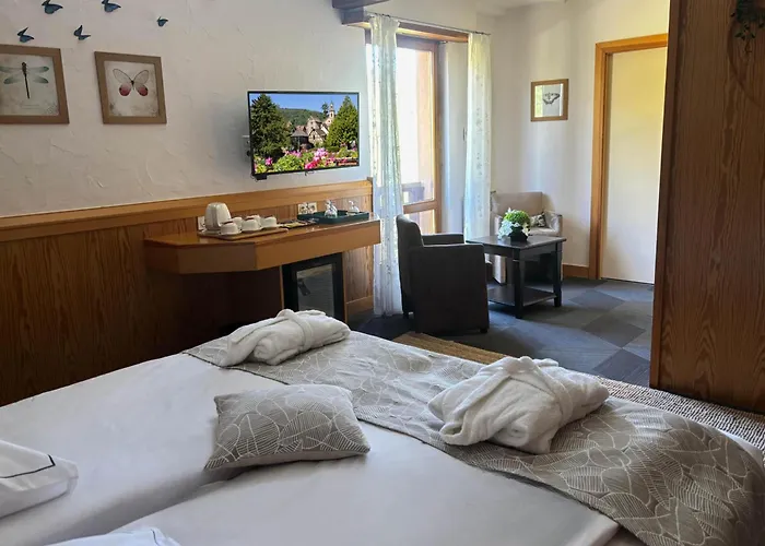 Best Western Hotel&SPA Le Schoenenbourg