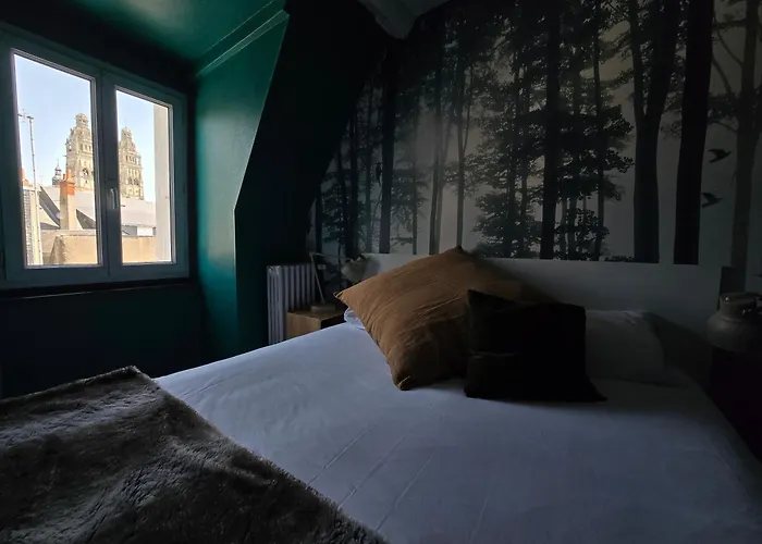Hotel Du Cygne Tours