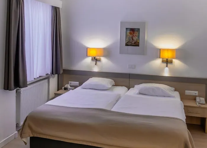 Hotel Francais
