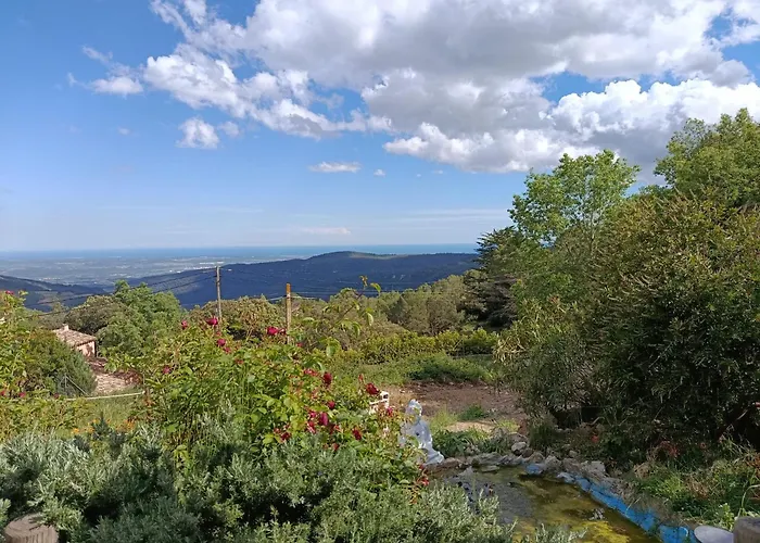 Cor De Prades