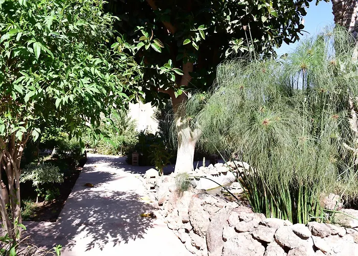Hotel Dar Zitoune Taroudant