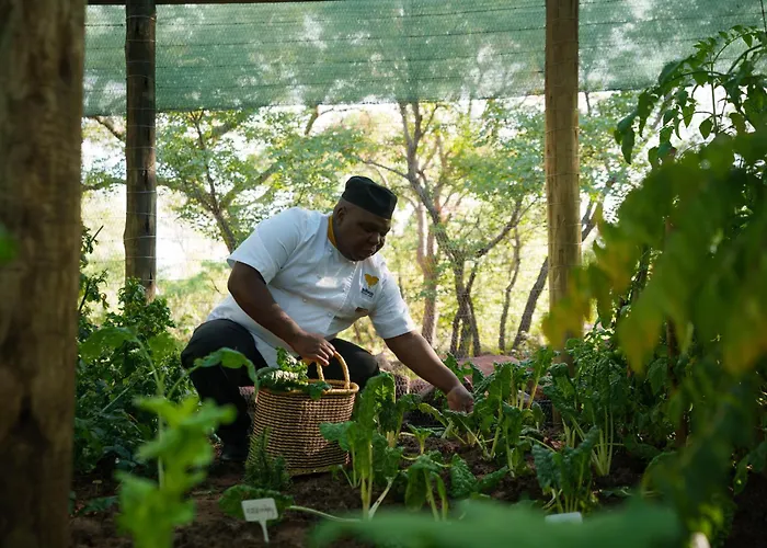 Ndlovu Safari Lodge