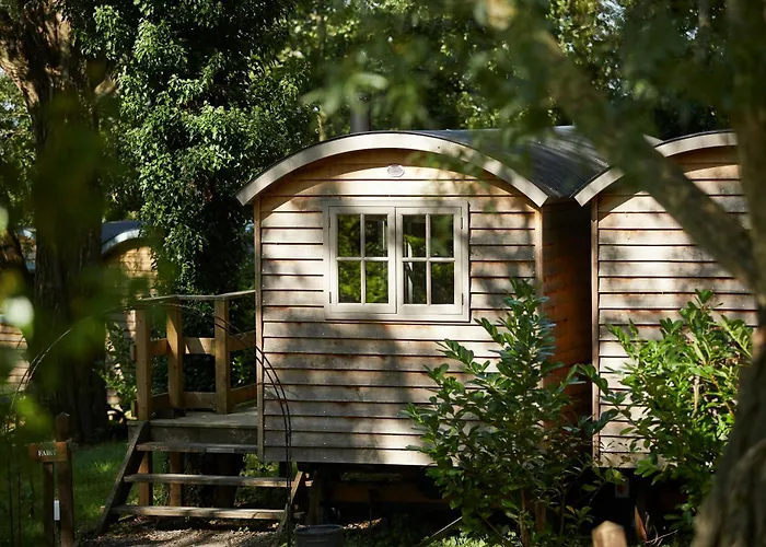 The Fish Hotel
