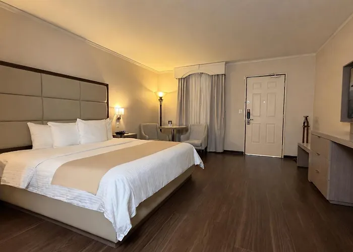 Safi Royal Luxury Centro