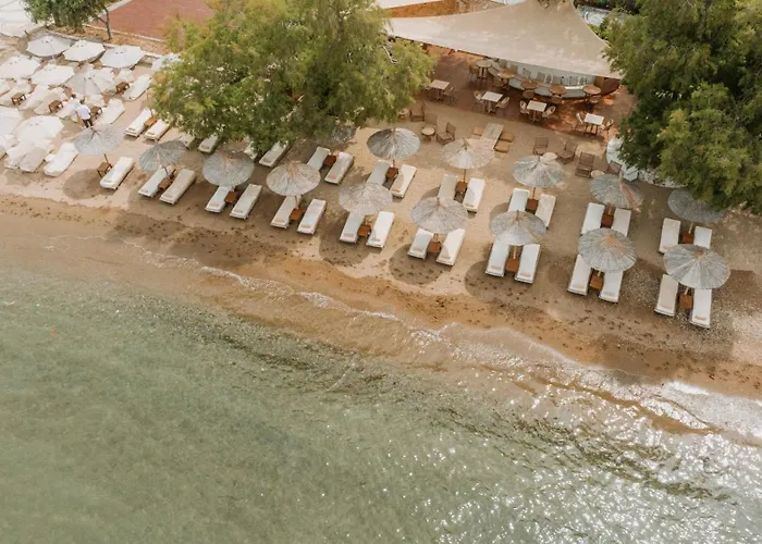 Anemon Trabzon Hotel