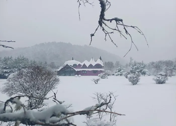 Spectra Lodge Boutique Hotel