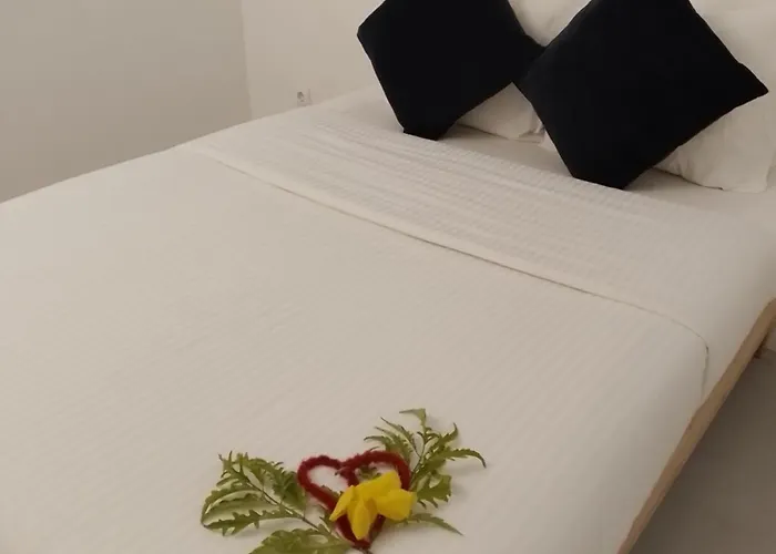 Guesthouse Cacau e Café