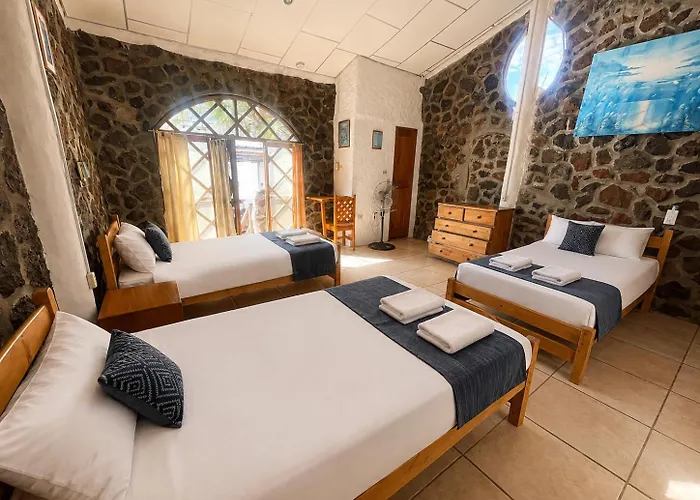 Penguin Hostel