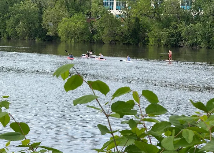 Kayaks & River Access Easy Parking Beautiful