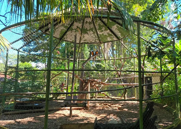 Ecos Jatobá - a 12km do Santuário de Aparecida