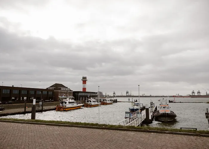 Mijn Torpedoloods