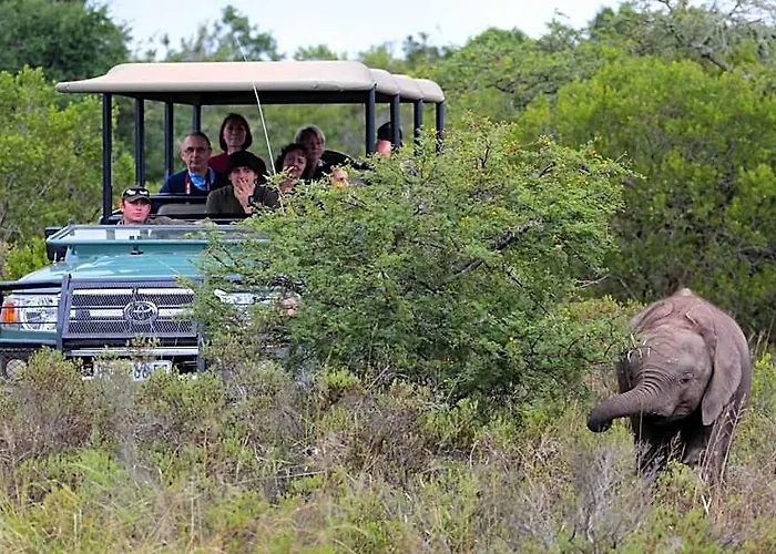 Hlosi Game Lodge