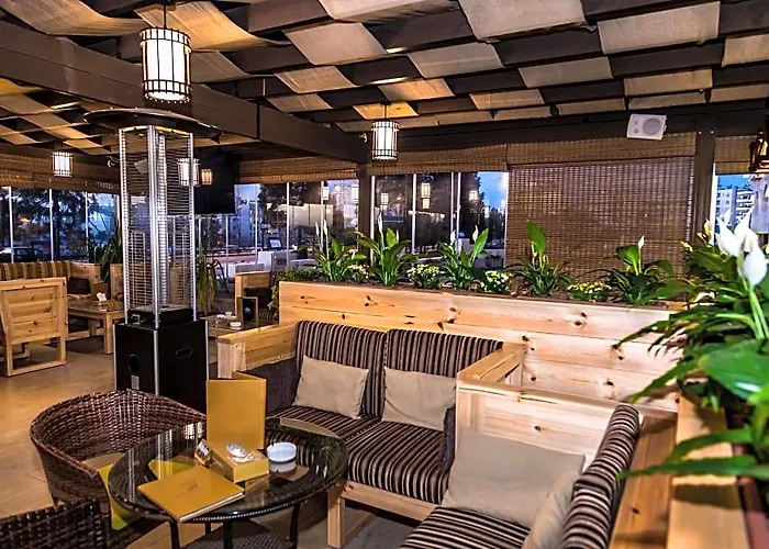 Olive Tree Amman