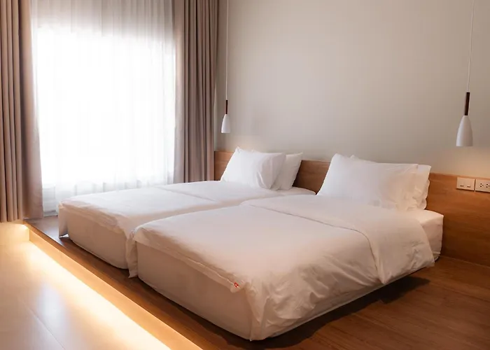 The Cozy Hotel