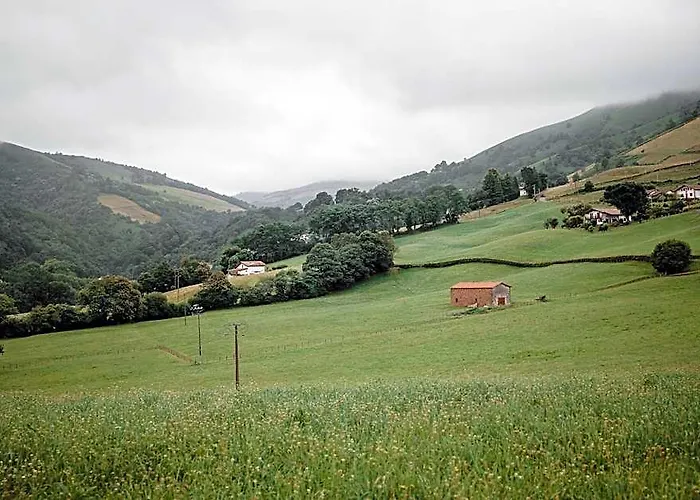 Hotel Barberaenea
