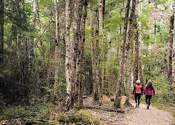 Fiordland National Park Lodge