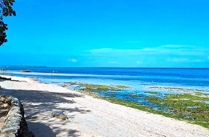 Mandala Beach Cebu By Hiverooms
