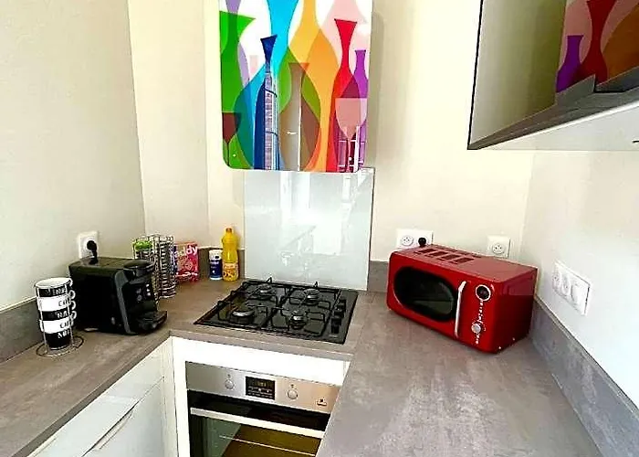 Charming Albi Apartment In City Centre