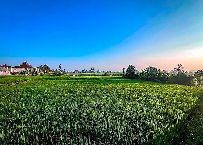 Odessa Village By Genuinehost Iso By Pramana Villas