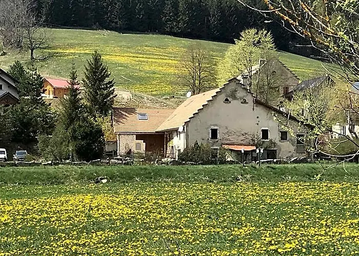 Gites De La Planta