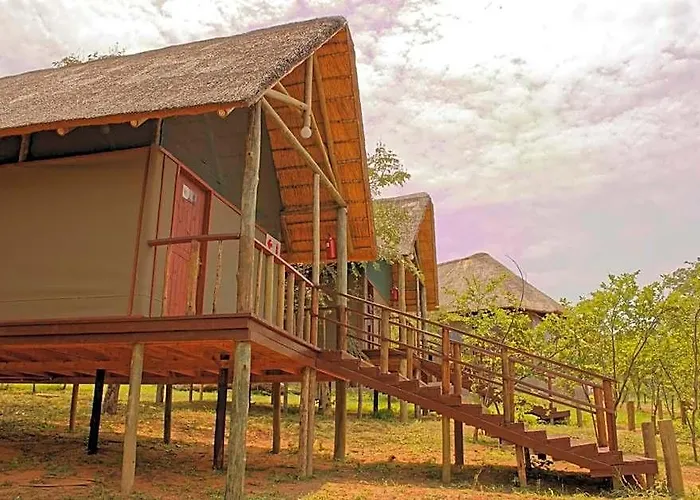 Lion Roars Lodge