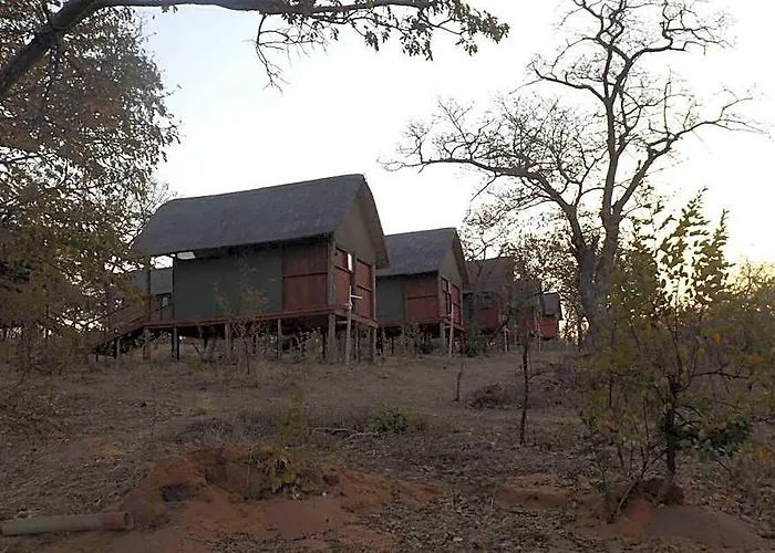 Lion Roars Lodge