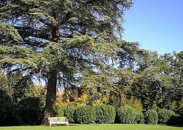 Gites Du Chateau Mont D'Onel