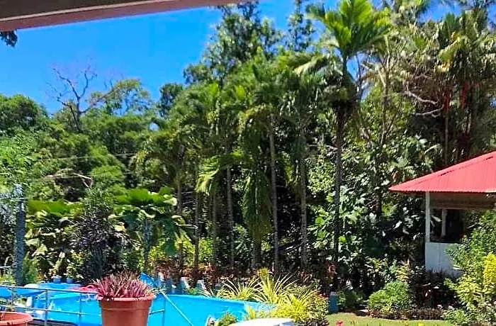 Sun House Rental