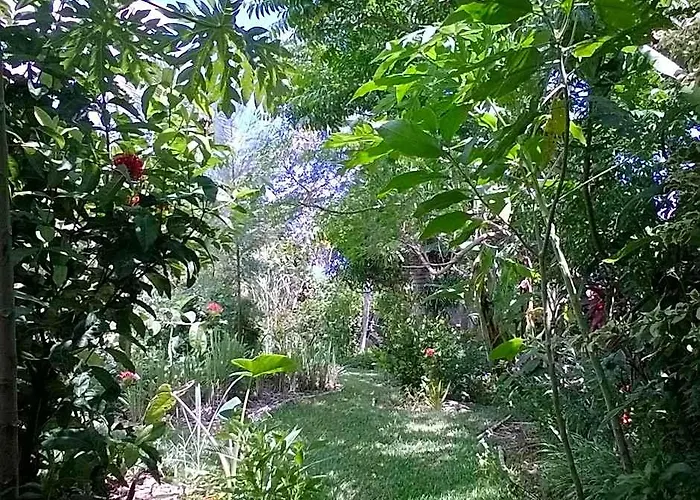 L'Arbre De Vie