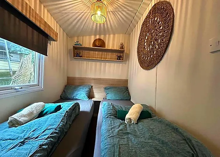 Boshuisje Met Sauna In Hoenderloo