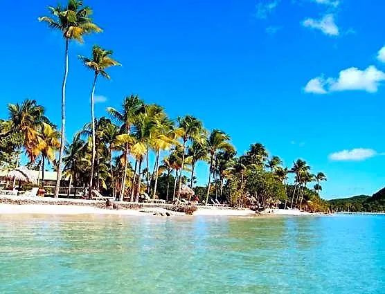Sud Madinina - Sainte Anne
