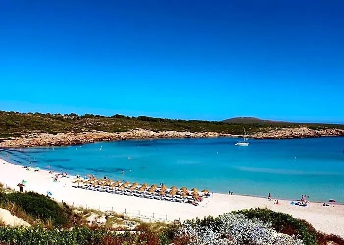 Apartamentos Posidonia
