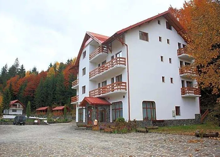 Hotel Paltinis