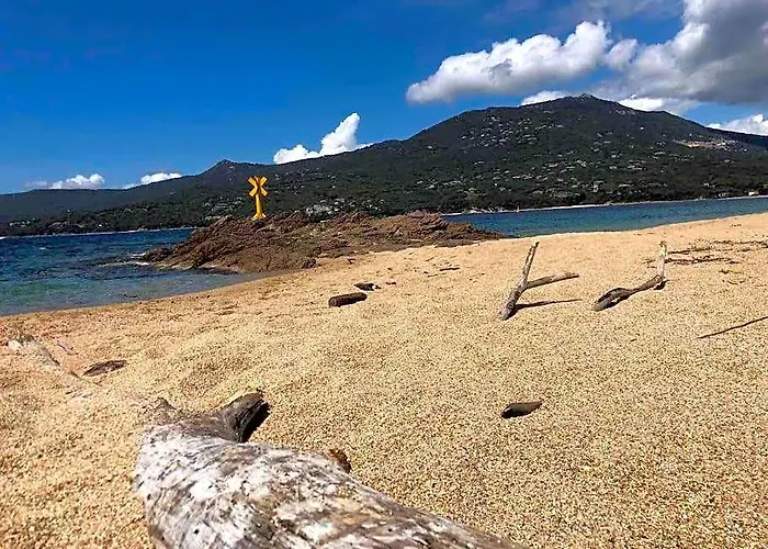Studio Raffine Vue Mer - Propriano - Corse Du Sud