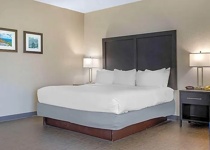Comfort Inn & Suites Greer - Greenville