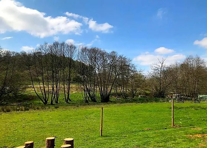Shepherds Huts Ham Hill, 2 Double Beds, Bathroom, Lounge, Diner, Kitchen, Love Dogs & Cats Looking Out To Lake And By Ham Hill Country Park Plus Parking For Large Vehicles Available Also Great Deals On Workers Long Term This Is The Place To Relax And