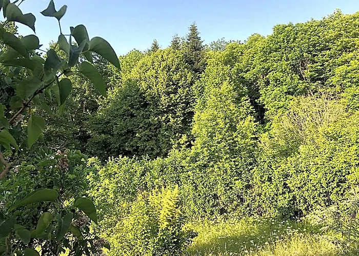 Gite De La Colombiere
