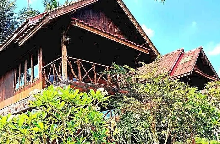Bamboo House