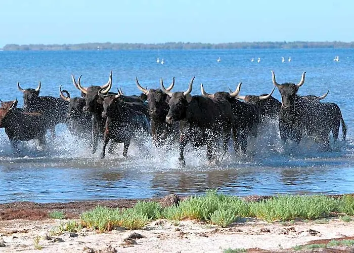 Vue Mer, Terrasse,Clim, Wifi, Parking, Piscine