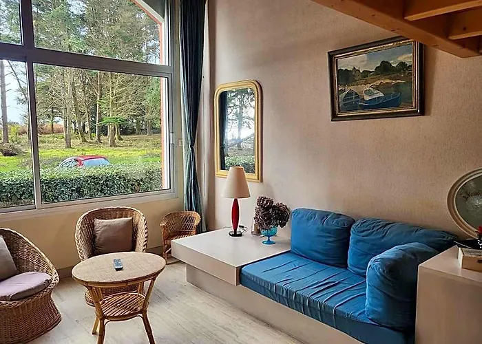 "Plage Des Dunes" Grand Studio Ouvert Face A La Plage! Avec 1 Mezzanine Et 1 Alcove