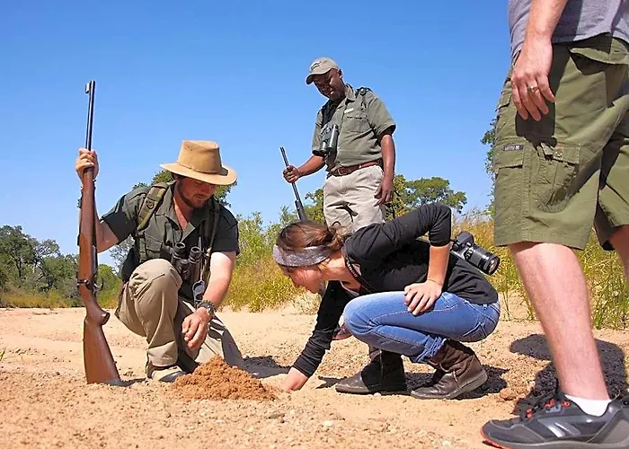 Shindzela Tented Safari Camp And Walking Safaris Accommodation