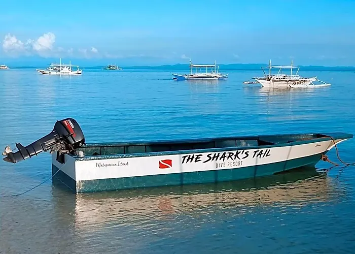 The Sharks Tail Dive Resort