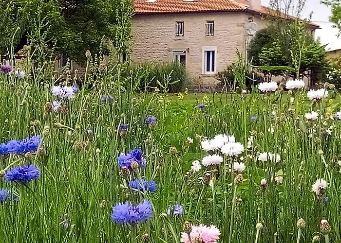Chambres D'Hotes Chateau Pierre De Montignac
