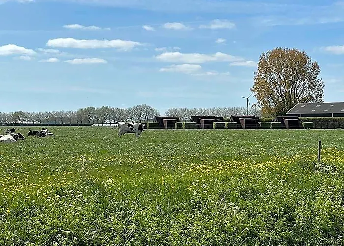Hotelhuisjes Andijk