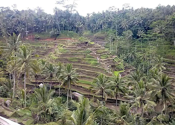 Maha Neka