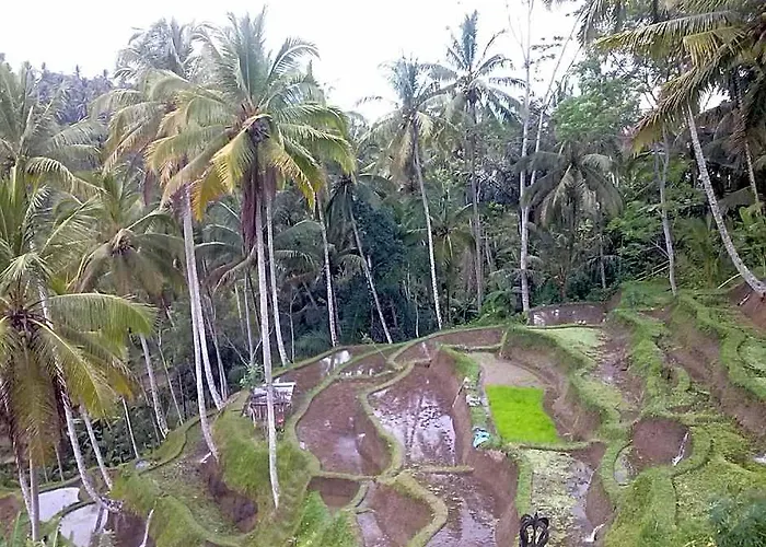 Maha Neka