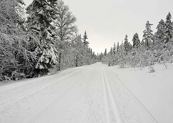 Fulufjellstunet