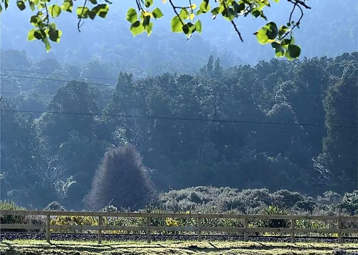 Tongariro Springs Boutique B&B