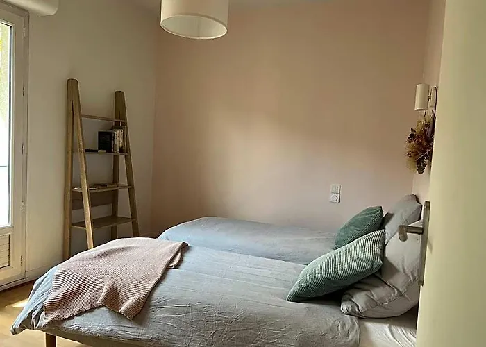 Grand Appartement En Centre-Ville