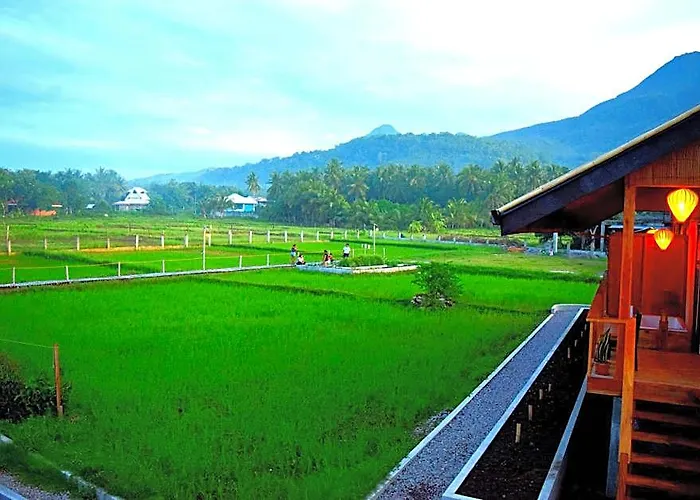 Guerrera Rice Paddy Villas